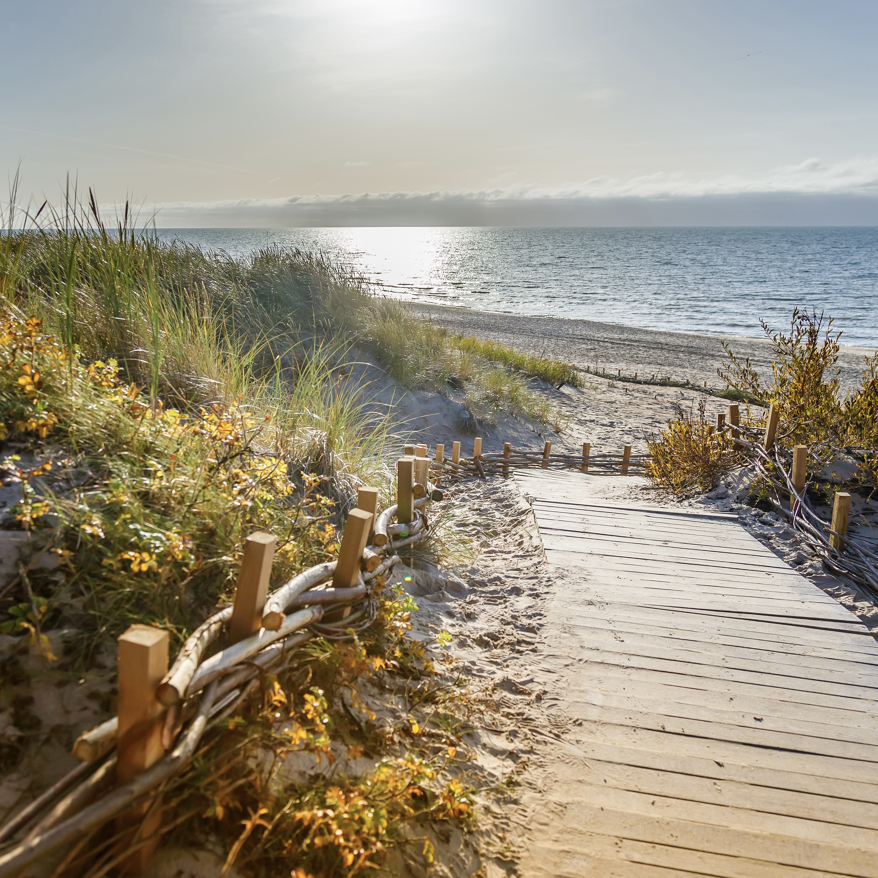 AdobeStock_969030128